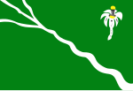 Bandeira de Belo Jardim